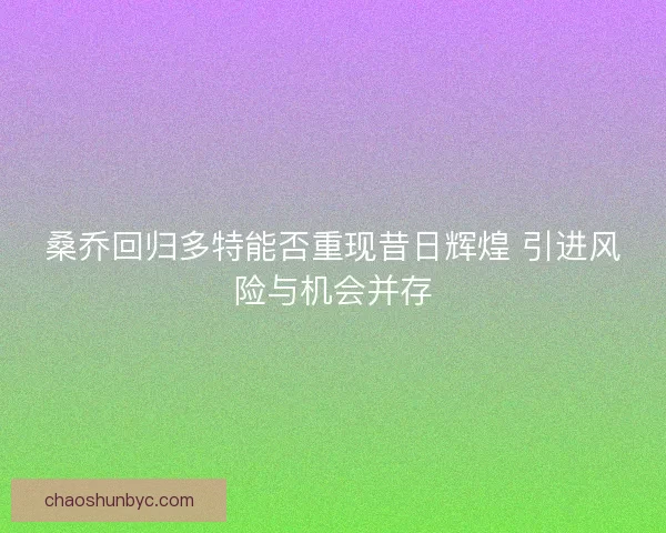 桑乔回归多特能否重现昔日辉煌 引进风险与机会并存