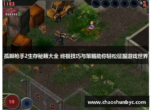 孤胆枪手2生存秘籍大全 终极技巧与策略助你轻松征服游戏世界