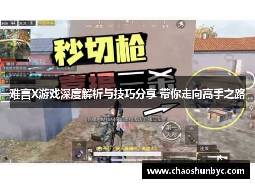 难言X游戏深度解析与技巧分享 带你走向高手之路